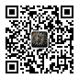 微信扫一扫
